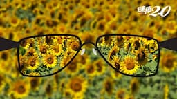 Search result thumbnail