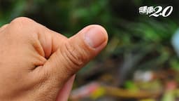 Search result thumbnail