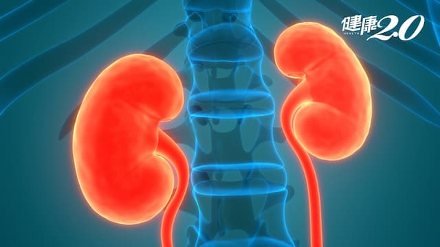 腎臟的求救訊號！除了「泡泡尿」，你有注意過這些狀況嗎？/medical/324493