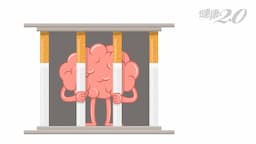 Search result thumbnail