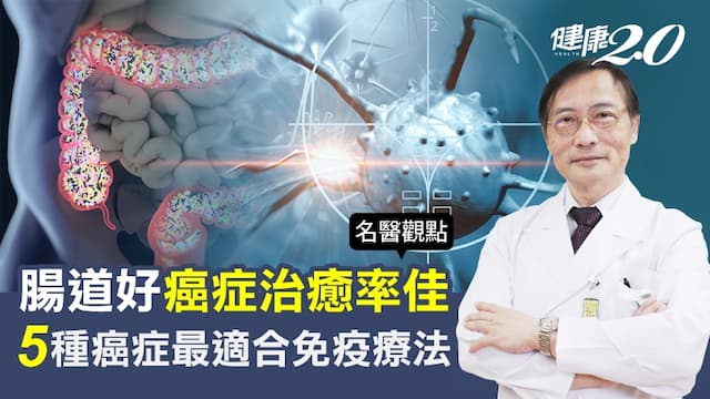 治癒癌症先養好腸道！研究證實：腸道菌會影響癌症治癒率 名醫曝5種癌症最適合免疫療法