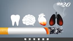 Search result thumbnail