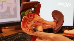 Search result thumbnail