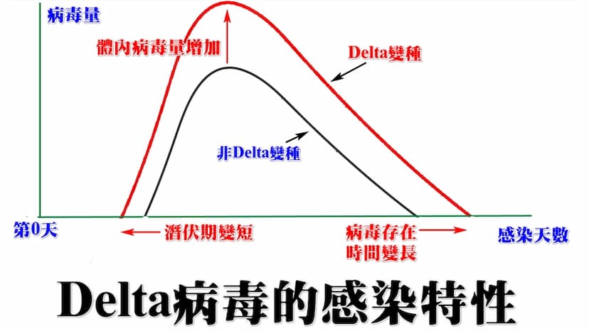 Delta進來了！一圖秒懂病毒「3大特性」，醫曝重症率2.5倍，在人體複製更多且快/medical/329705