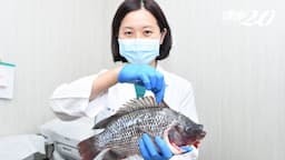 Search result thumbnail