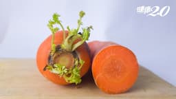 Search result thumbnail