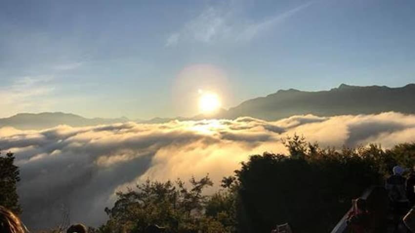 放暑假淨化呼吸道，12星座森林旅遊指南大公開！4族群療癒祕境報你知/strong/333703