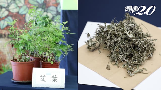 「艾草水萃取物」可抗老化！可望治療心臟衰竭、肌無力、阿茲海默症/nutrition/335271