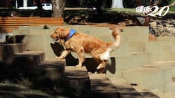 Search result thumbnail
