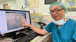 Search result thumbnail