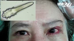 Search result thumbnail