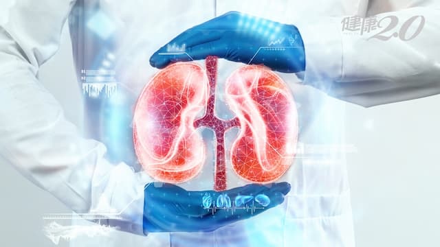 冬季「保腎」指南！6大傷腎行為不要做 多喝水不憋尿很重要