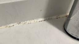 Search result thumbnail