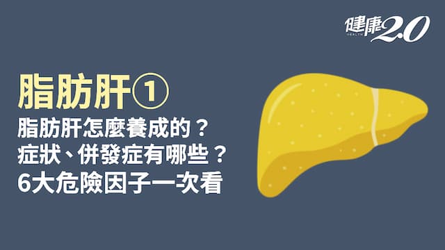脂肪肝／脂肪肝不管會變成肝癌！脂肪肝有什麼症狀？瘦子、不喝酒也要小心