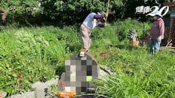 Search result thumbnail