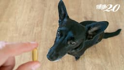 Search result thumbnail