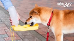Search result thumbnail