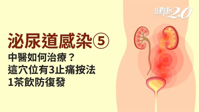泌尿道感染／中醫分3種泌尿道感染類型，3藥方1穴位 全方位擊退病痛