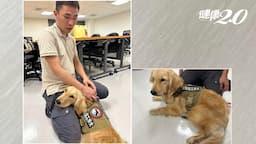 Search result thumbnail