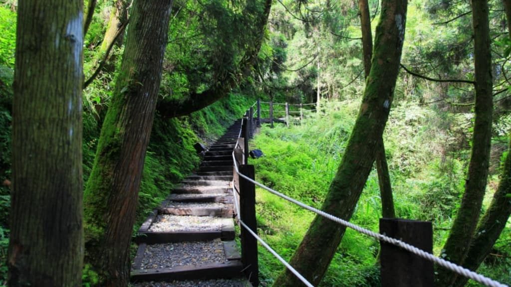 杉林溪步道