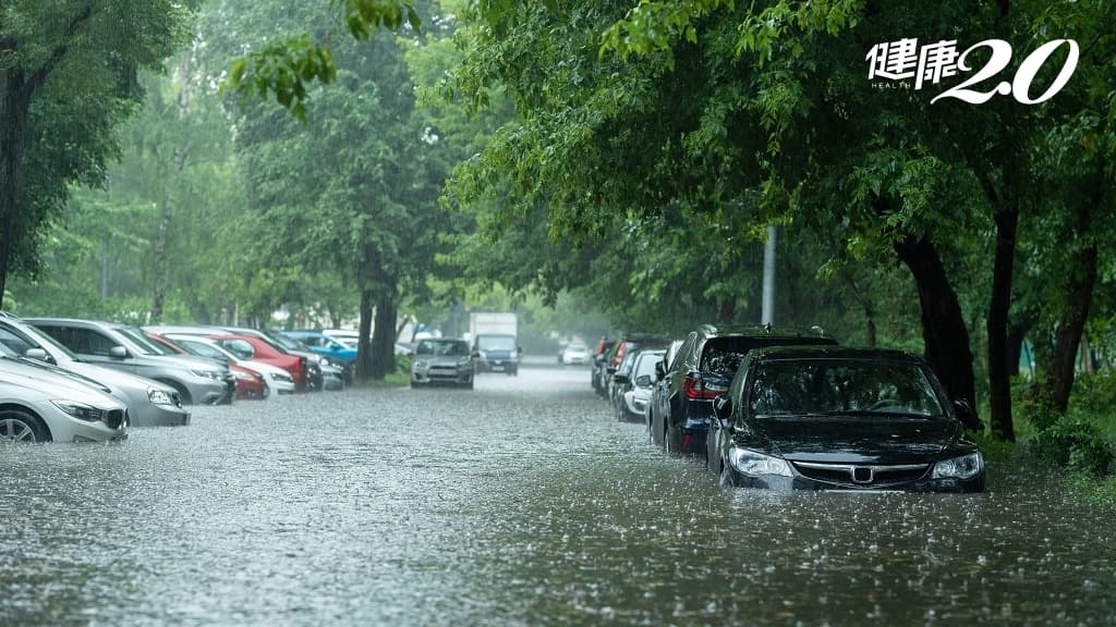 大雨 車內逃生