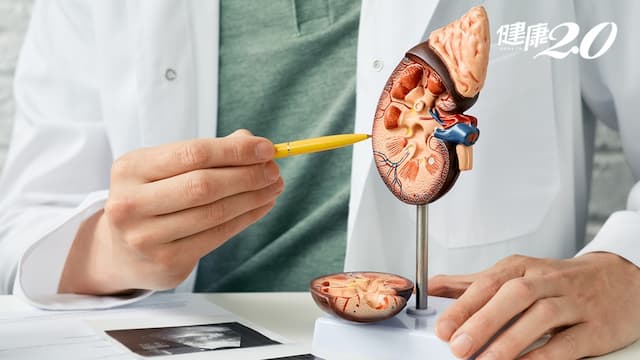 腎臟病可以吃鈣片、維他命D？吃B群、綜合維他命比較好？醫師教你3招避免腎功能惡化