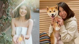 Search result thumbnail