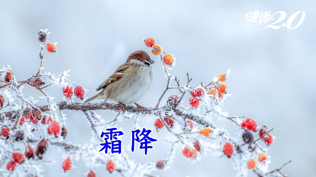 霜降養生3穴位！每天10分鐘保養呼吸道  1茶飲清熱、生津、止癢/tcm/342770