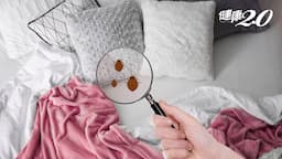 Search result thumbnail