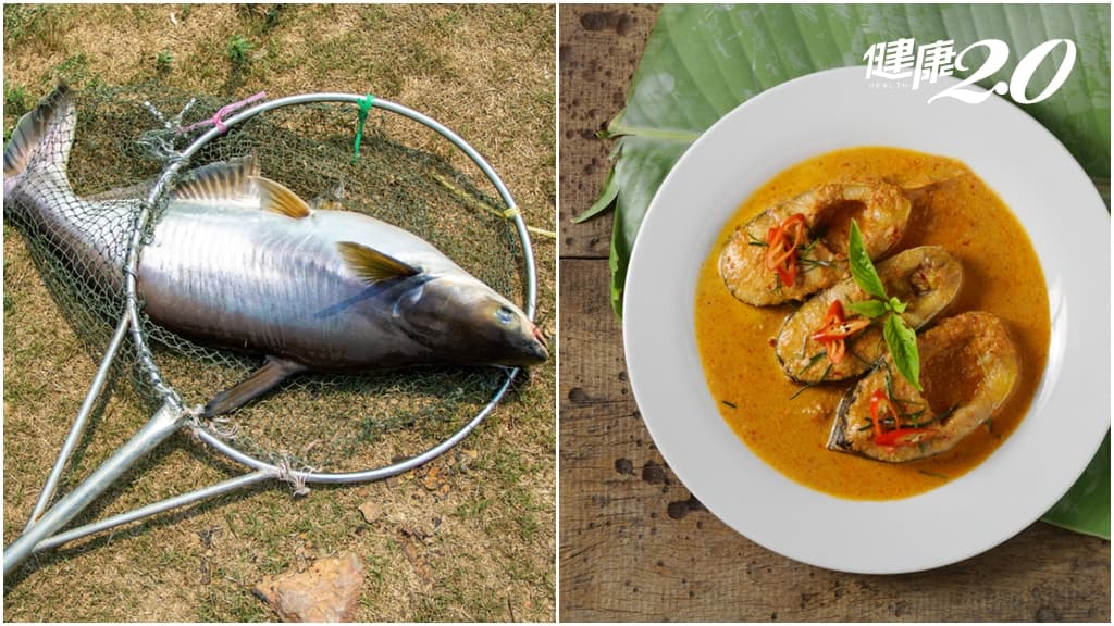 巴沙魚泡磷酸鹽「吃多恐洗腎」？專家揭磷酸鹽對健康影響 「這樣吃」免驚啦/nutrition/343163