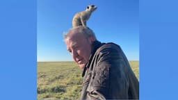 Search result thumbnail