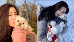 Search result thumbnail