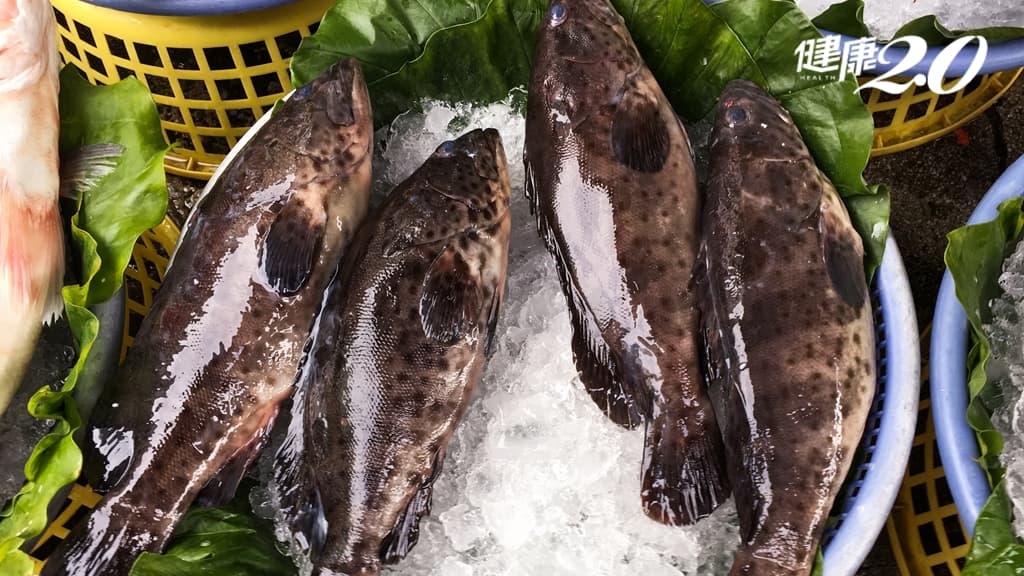 石斑魚營養有哪些？專家推1道石斑魚料理補鈣、防失智 加1物沒腥味