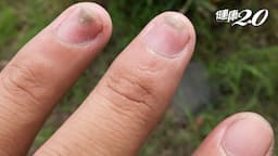 Search result thumbnail