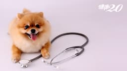 Search result thumbnail