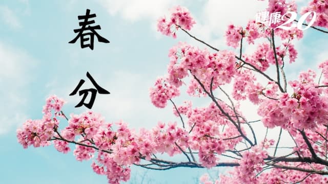 2024春分習俗及禁忌？春分開運祕訣？春分進補食譜