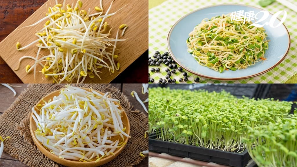 春天吃「4芽菜」能養肝、補陽、清血管！吃豆芽時再配1物還能驅寒