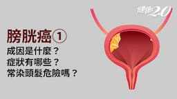 Search result thumbnail