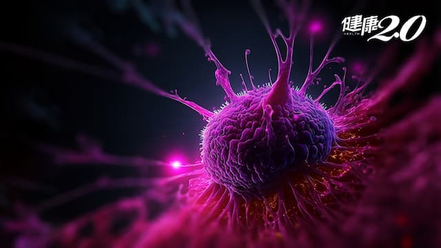 癌細胞可以自癒？名醫教3招練出「最強抗癌力」兼抗衰老 補充這2營養也有效