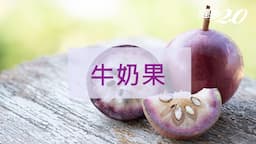 Search result thumbnail