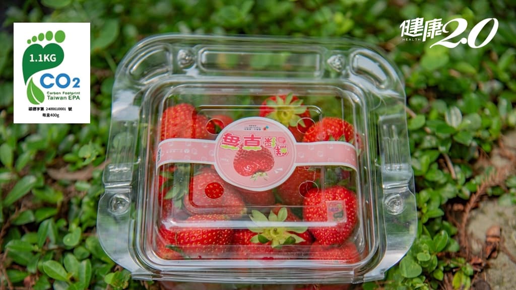 碳標籤草莓