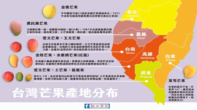 台灣芒果地圖快收！9種芒果產地大不同 這種芒果又稱「芒果界的LV」/nutrition/346868