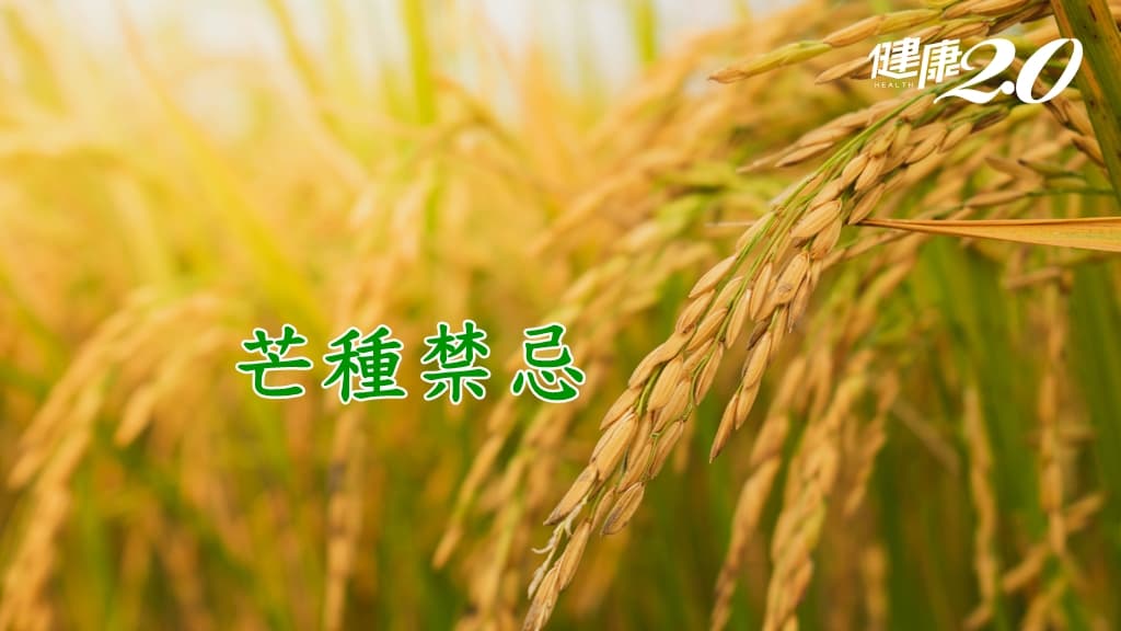 芒種禁忌