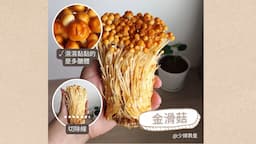 Search result thumbnail