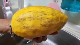 Search result thumbnail