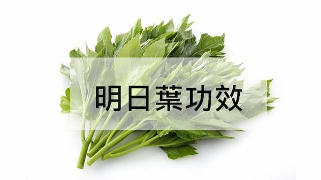 明日葉功效和禁忌？明日葉精力湯和怎麼吃一次看/nutrition/348328