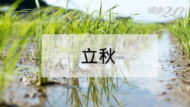 立秋禁忌有哪些？立秋2024開運和習俗一次看