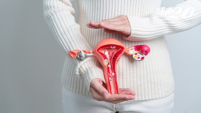 長期便祕及咳嗽，小心子宮掉出來！半數停經後婦女受影響 2動作超NG恐更嚴重
