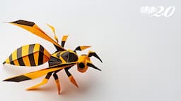 Search result thumbnail