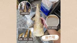 Search result thumbnail